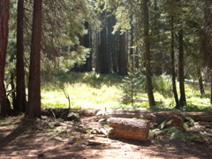 DSCN0045.JPG