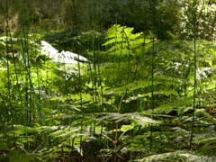 DSCN0046.JPG