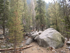 DSCN0007.JPG