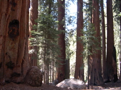 DSCN0048.JPG