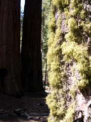 DSCN0049.JPG