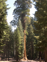 DSCN0052.JPG