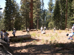 DSCN0056.JPG