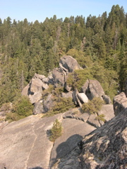 DSCN0079.JPG