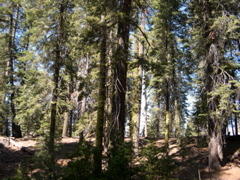 DSCN0017.JPG