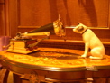 DSCN0056.JPG