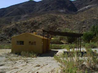 DV