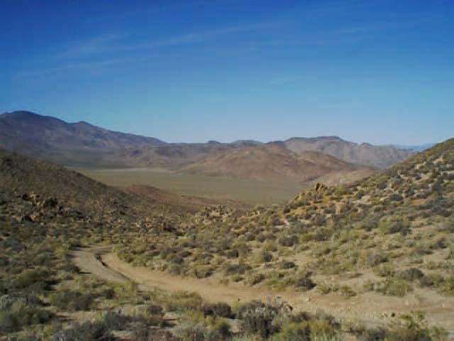 DV