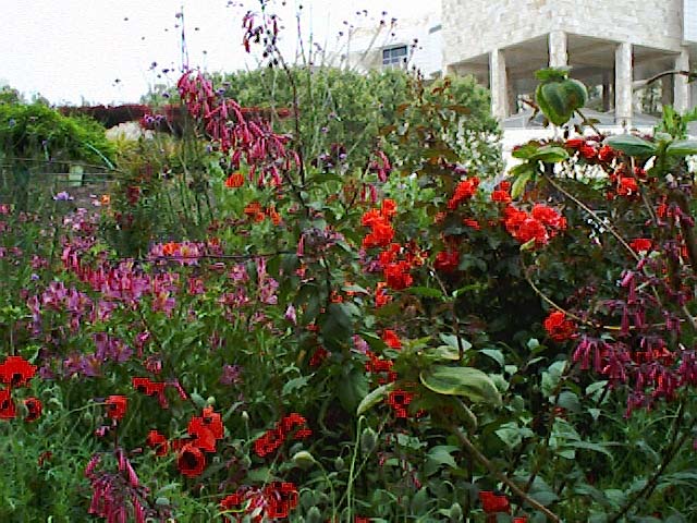 Getty_16
