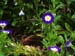 Getty_17