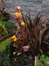Getty_18