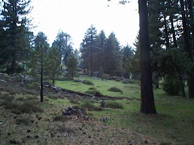 TM2_08