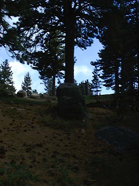 TM2_12