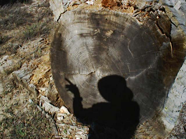 TM2_23