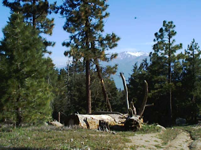 TM2_25