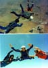 VinceSkydive1