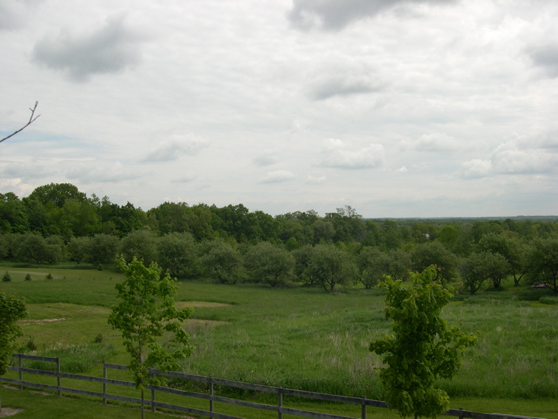 DSCN0019.JPG