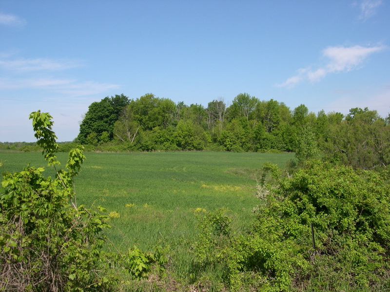 DSCN0050.JPG