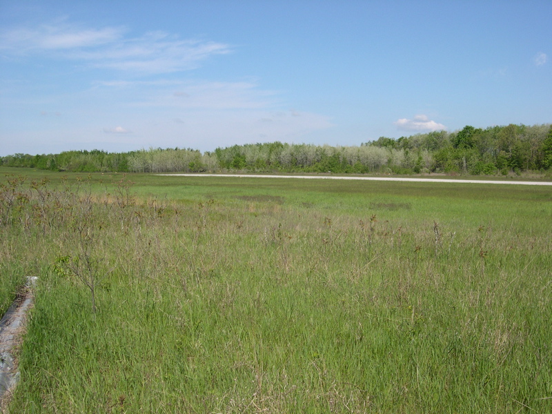 DSCN0052.JPG