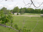 DSCN0018.JPG