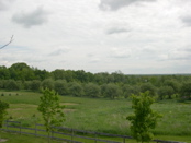 DSCN0019.JPG