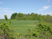 DSCN0050.JPG