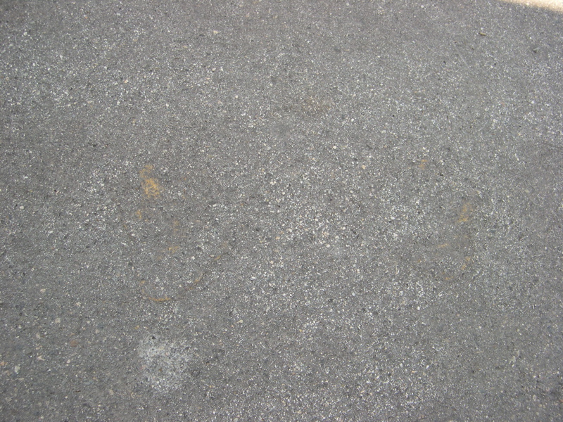 DSCN0059.JPG