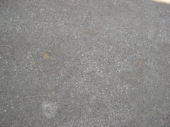 DSCN0059.JPG