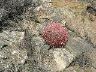 dscn0016