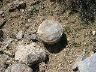 dscn0020
