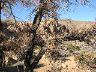 dscn0077