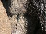 dscn0084