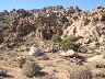 dscn0087
