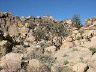 dscn0095