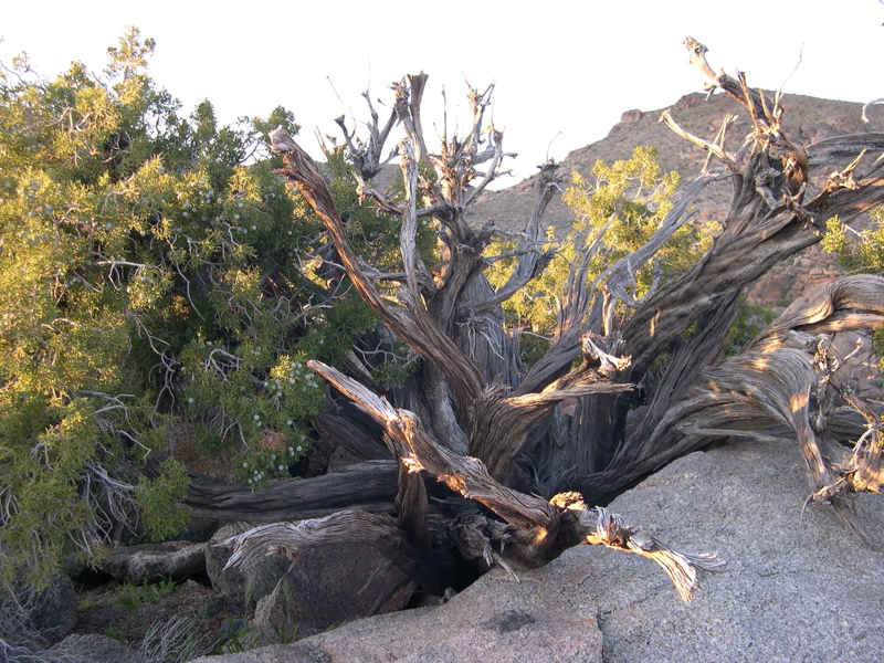 DSCN0019.JPG