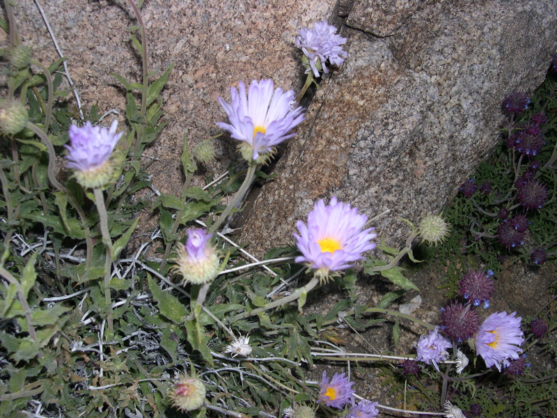 DSCN0022.JPG