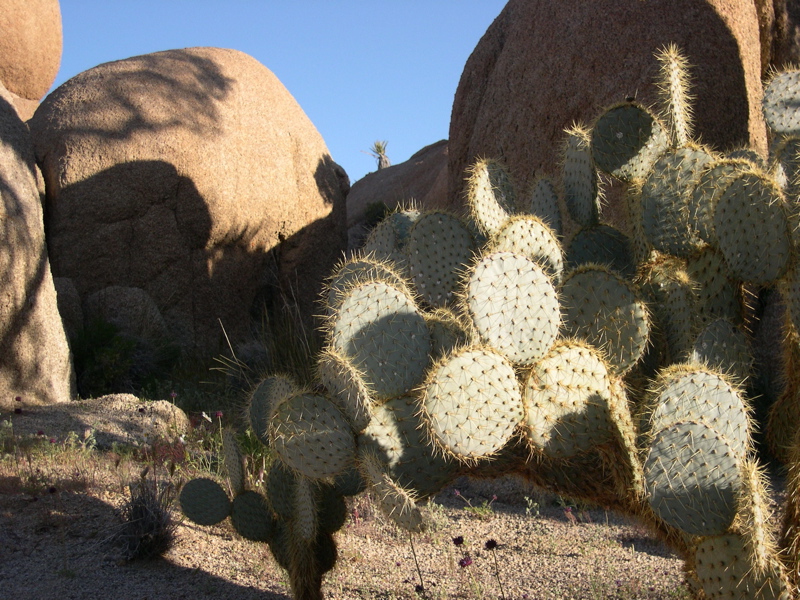 DSCN0026.JPG