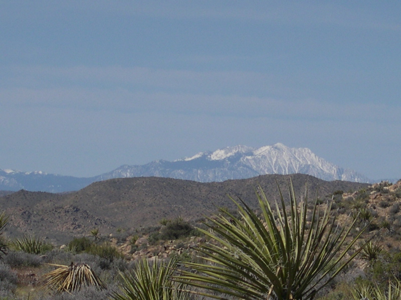 DSCN0032.JPG