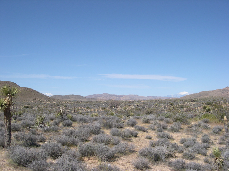 DSCN0037.JPG