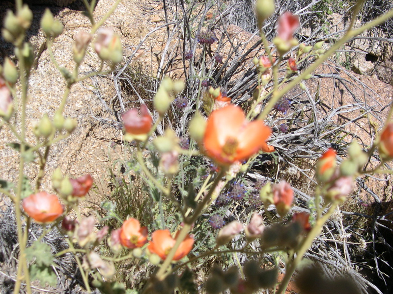DSCN0009.JPG
