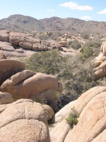 DSCN0014.JPG