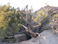 DSCN0019.JPG