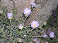 DSCN0022.JPG