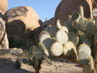DSCN0026.JPG