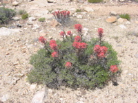 DSCN0004.JPG