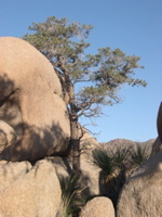 DSCN0027.JPG