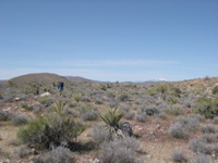 DSCN0031.JPG