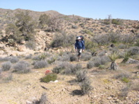 DSCN0036.JPG