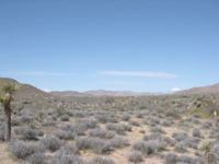 DSCN0037.JPG