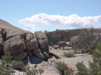 DSCN0007.JPG